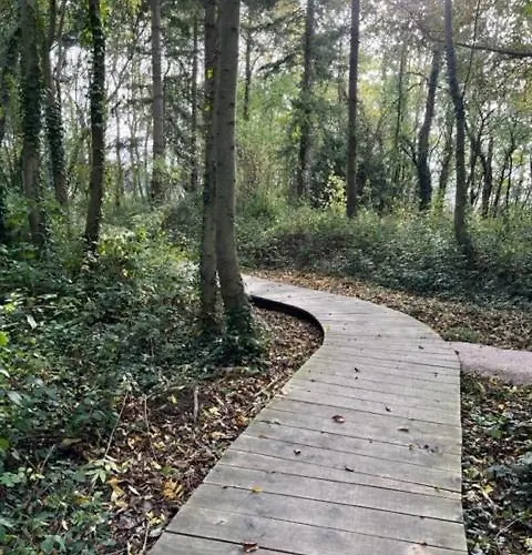 度假居 Nordic Bath Lodge In Normandy